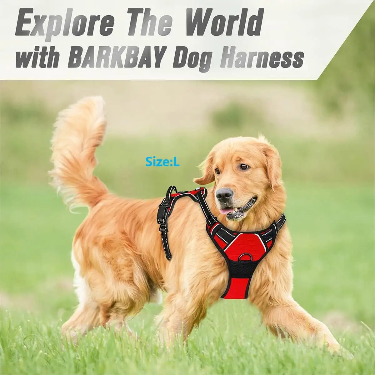 CalmNuzzle Reflective Front-Clip Dog Harness