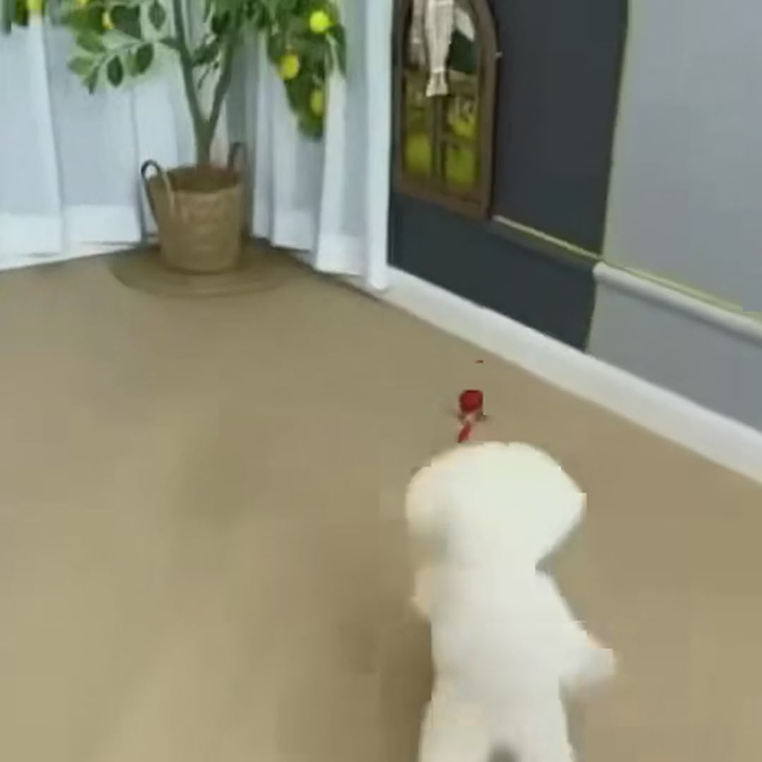 CalmNuzzle Chase Ball™ – Self-Moving Interactive Dog Toy
